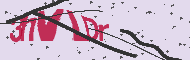 Captcha認証コード