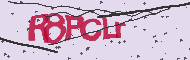 Captcha認証コード